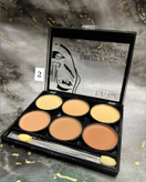 پالت کانسیلر براش دار دودوگرل